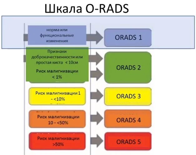 Категория o rads слева 1. O rads классификация. Классификация o-rads для УЗИ. Шкала o rads. Классификация опухолей яичников orads.