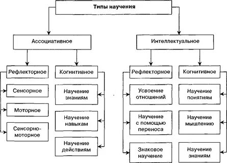 К пассивным формам относятся