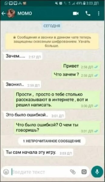 Переписка пользователей ватсап. Переписка с момо. скрин переписки вотсап. скриншот вацап переписки. переписка с момо в whatsapp.