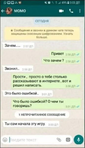 Переписываться с момо. МОМО переписки. Переписка в ватсапе. Скрин переписки вотсап. Переписка с МОМО В ватсапе.