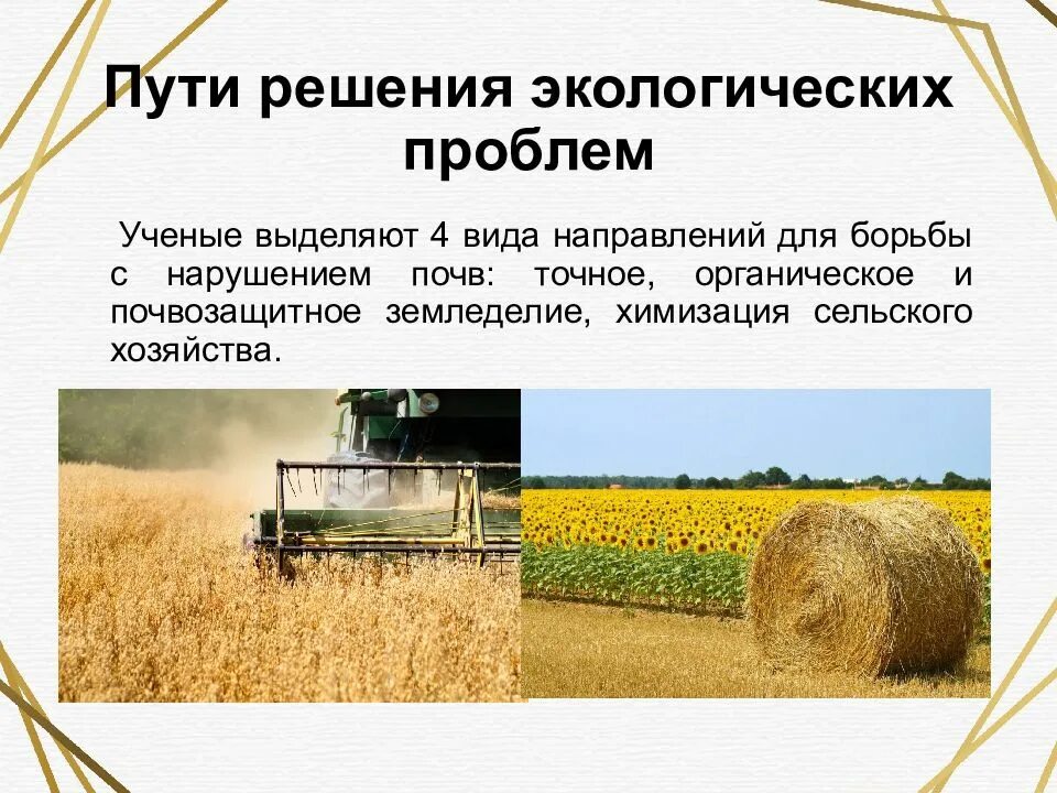 Экологические проблемы связанные с сельским. Экологические аспекты сельского хозяйства. Экологические аспекты сельского хозяйства. Способы решения экологических проблем в сельском хозяйстве. Экологические проблемы сельского хозяйства.