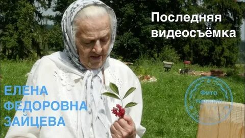 Рецепты травницы зайцевой елены федоровны книга