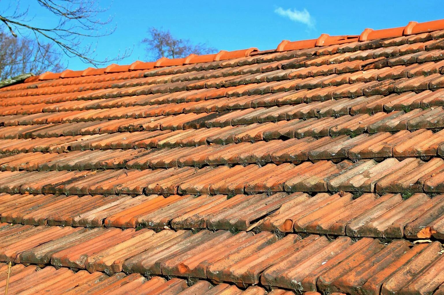 Кровельная черепица «Roofing Tiles». Черепичная глиняная кровля. Глиняная черепица татарка. Керамическая черепица Младость. В н черепица