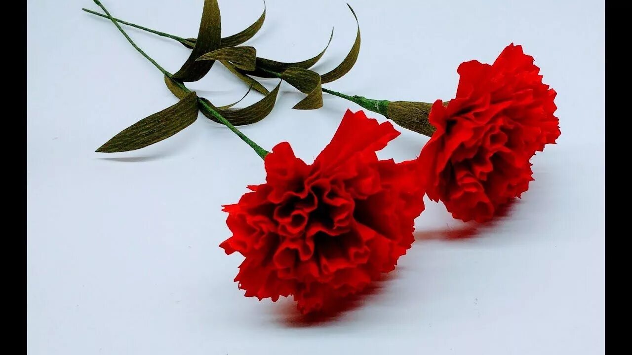 Два цветка гвоздики. Траурные гвоздики. Два цветка гвоздики. Гвоздики на похороны. Две гвоздики.