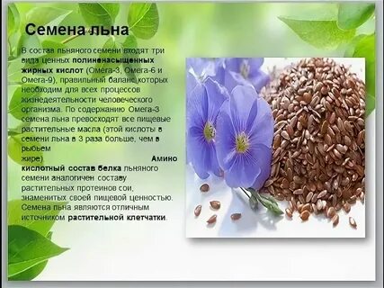 Лен кем стать