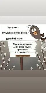 Ты кукуй кукушка сколько мне осталось