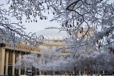 8 декабря новосибирск