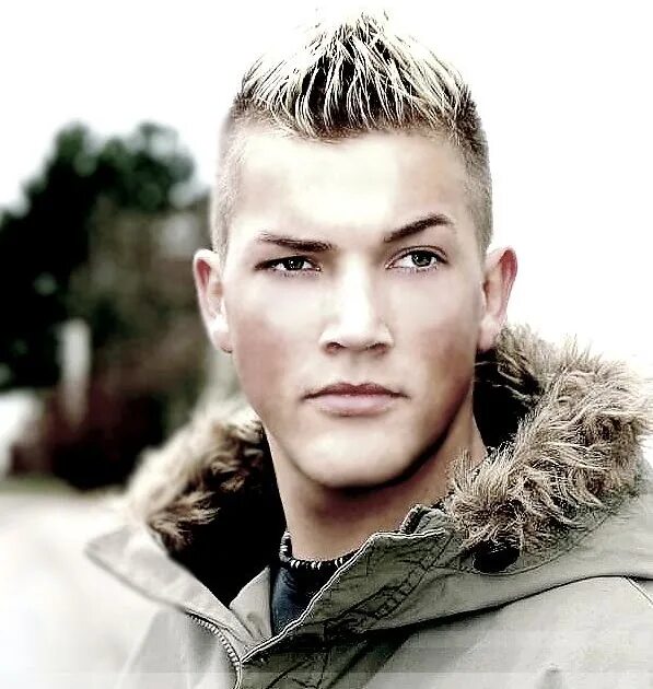 Bastian van shield. обложка bastian van shield. Bastian van shield. Bastian van shield. ван шилд бастиан with dust.