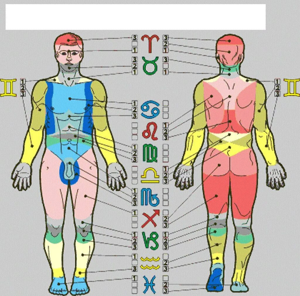 Анатомическая связь зодиакальных знаков. Знаки зодиака и части тела. Соответствие знаков зодиака частям тела человека. Астрологическое соответствие частей тела.