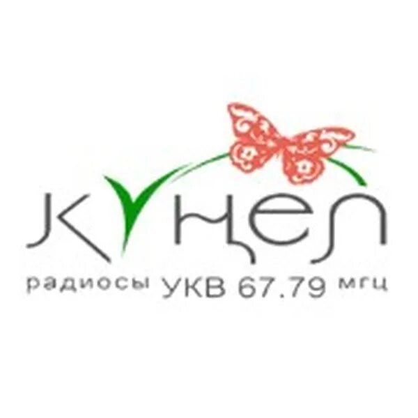 Радио кунел Набережные Челны. Радио кунел радиосы. Кунел радиосы логотип. Кунел радиосы ведущие.