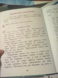 Изложение кошка