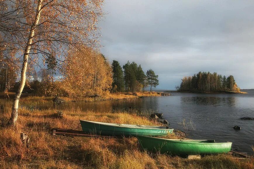 Ноябрьский лес в карелии. Змеиная гора ноябрь лахденпохья. Золотая осень в карелии. Карелия осень. Озеро сегозеро.