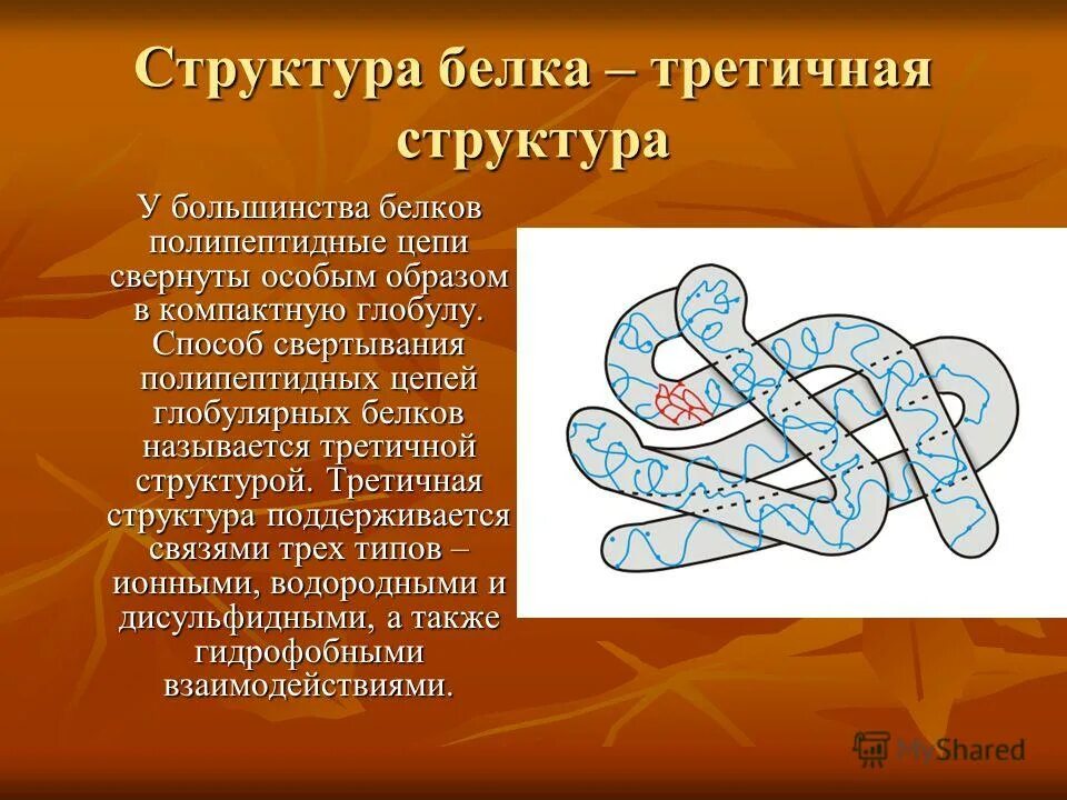 Устойчивость третичной структуры обеспечивается. Устойчивость третичной структуры обеспечивается