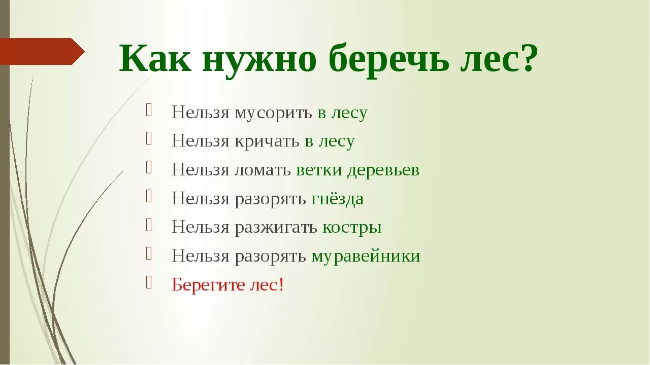 Лес презентация 4 класс плешаков. Жизнь леса 4 класс. Жизнь леса 4 класс окружающий мир. Проект жизнь леса. Проект по теме жизнь леса 2 класс.