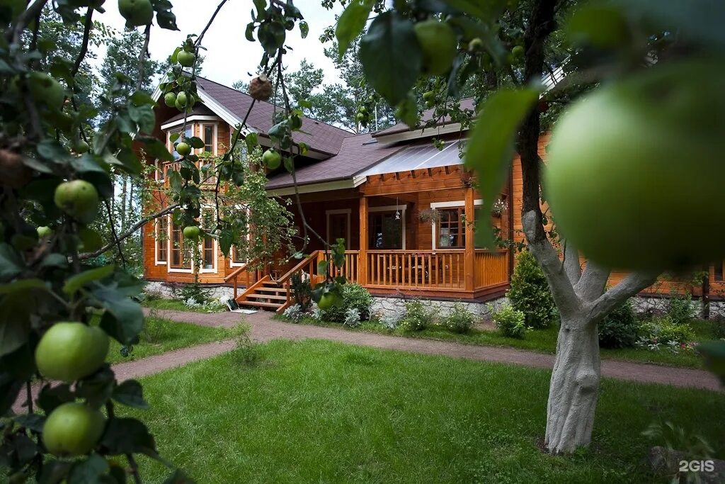 Смородина калина. Плетистая роща яблоневый сад. Плодовые кусты. Кембридж, ботанический сад. Шаранга яблоневый сад.