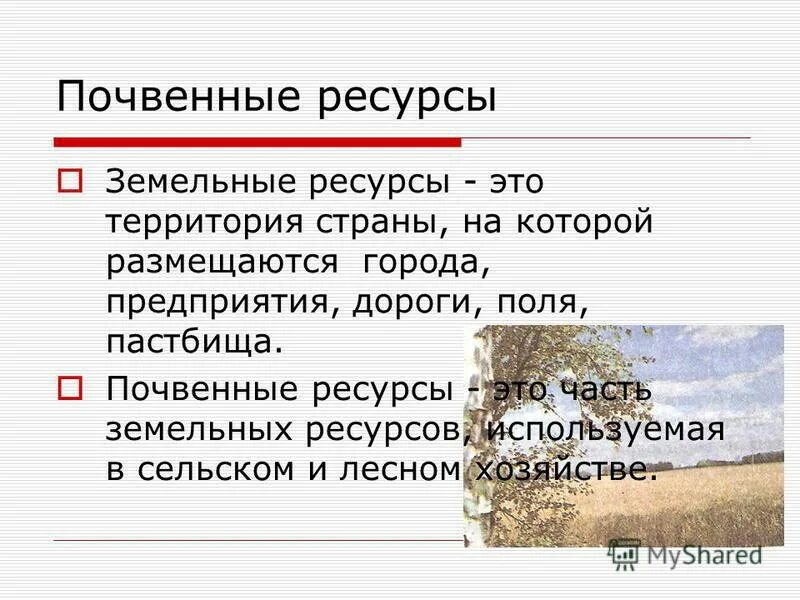 Почвенные ресурсы дальнего востока