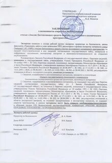 Экспертное заключение на рабочую программу