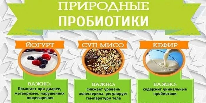 Через сколько пить пробиотик. Пробиотики для кишечника бактерии. природный пробиотик. пробиотики и пребиотики в продуктах. натуральные пробиотики для кишечника.
