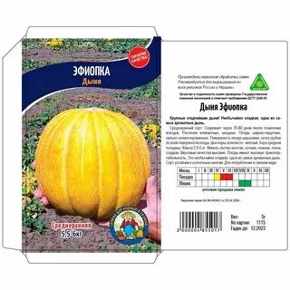 Семена дыни эфиопка