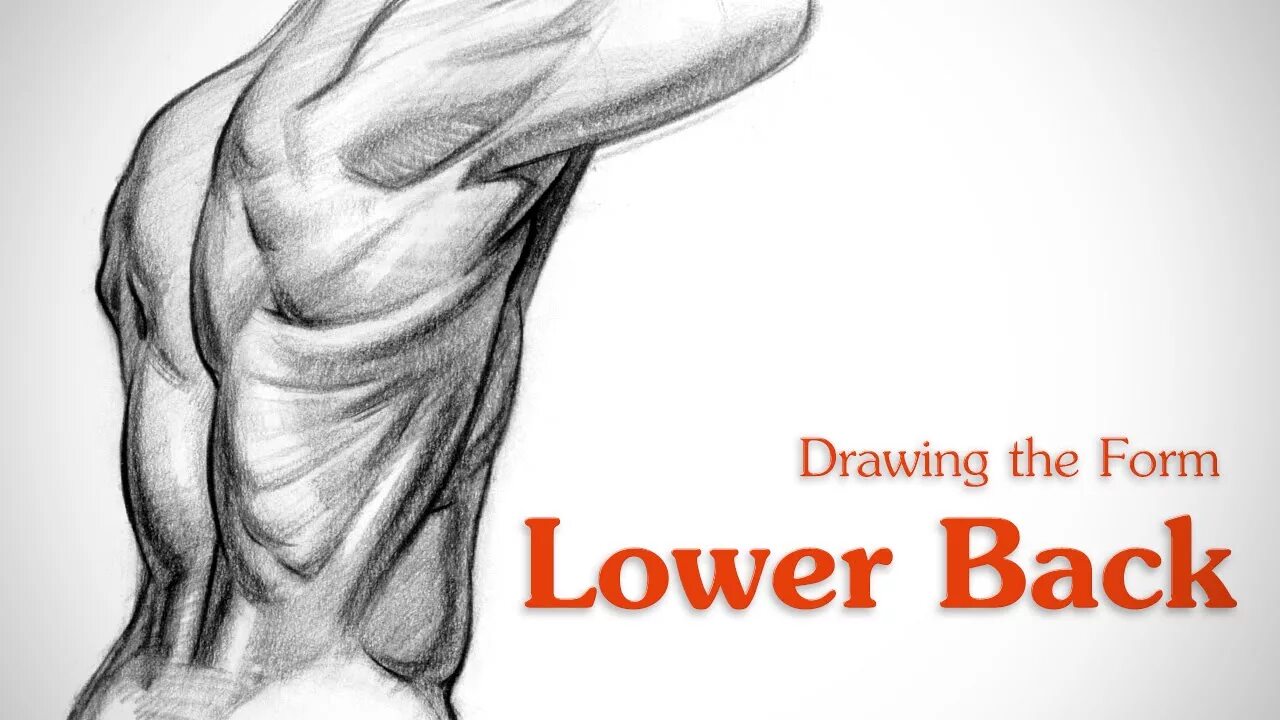Draw back. Muscle back reference. back muscles art. drawing back muscles. back anatomy for artists.