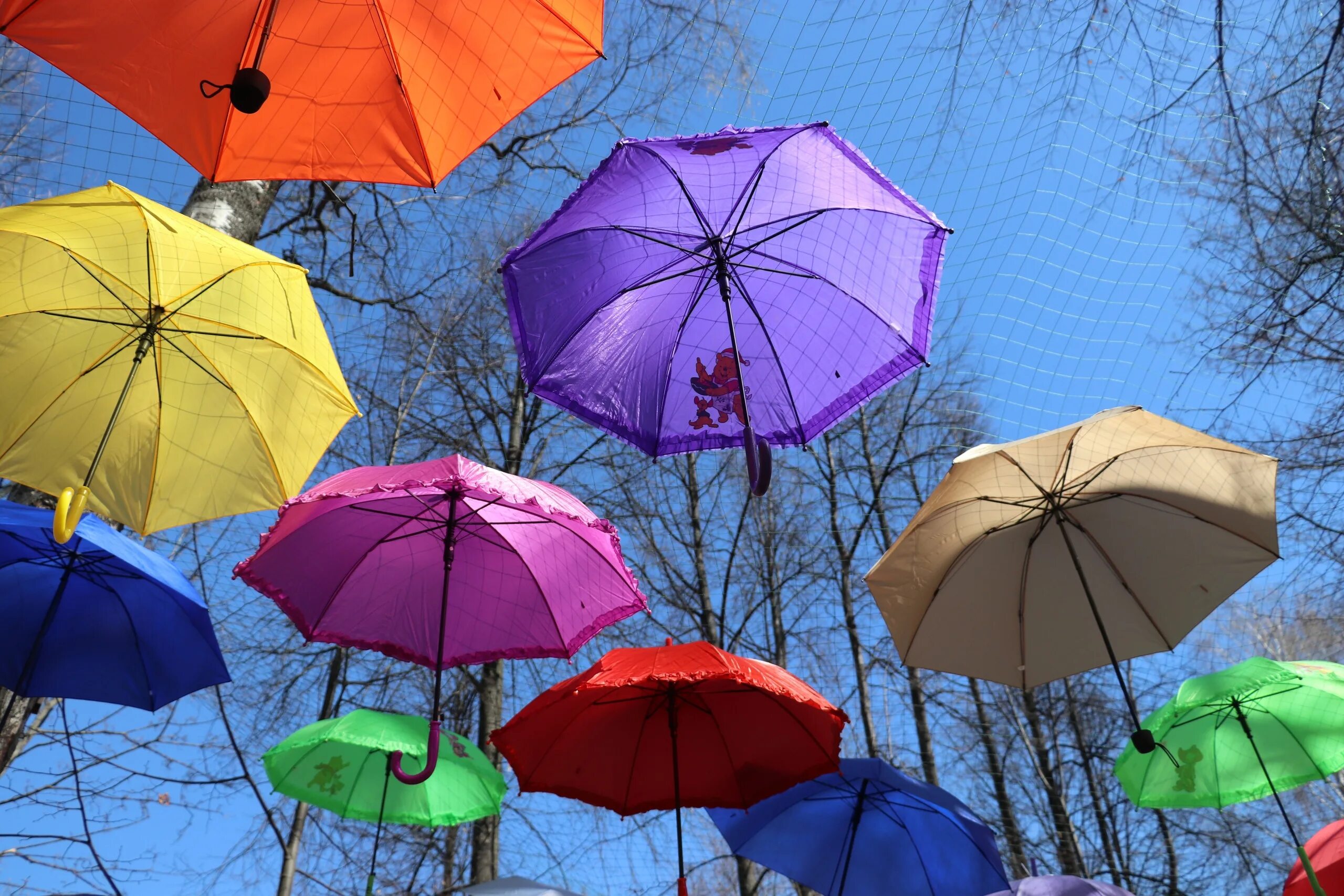 Зонтик г. Зонтики яркие. Разноцветные зонтики. Цветочный зонт. Летний зонт.