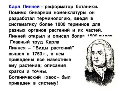 Имя ученого который предложил бинарную номенклатуру