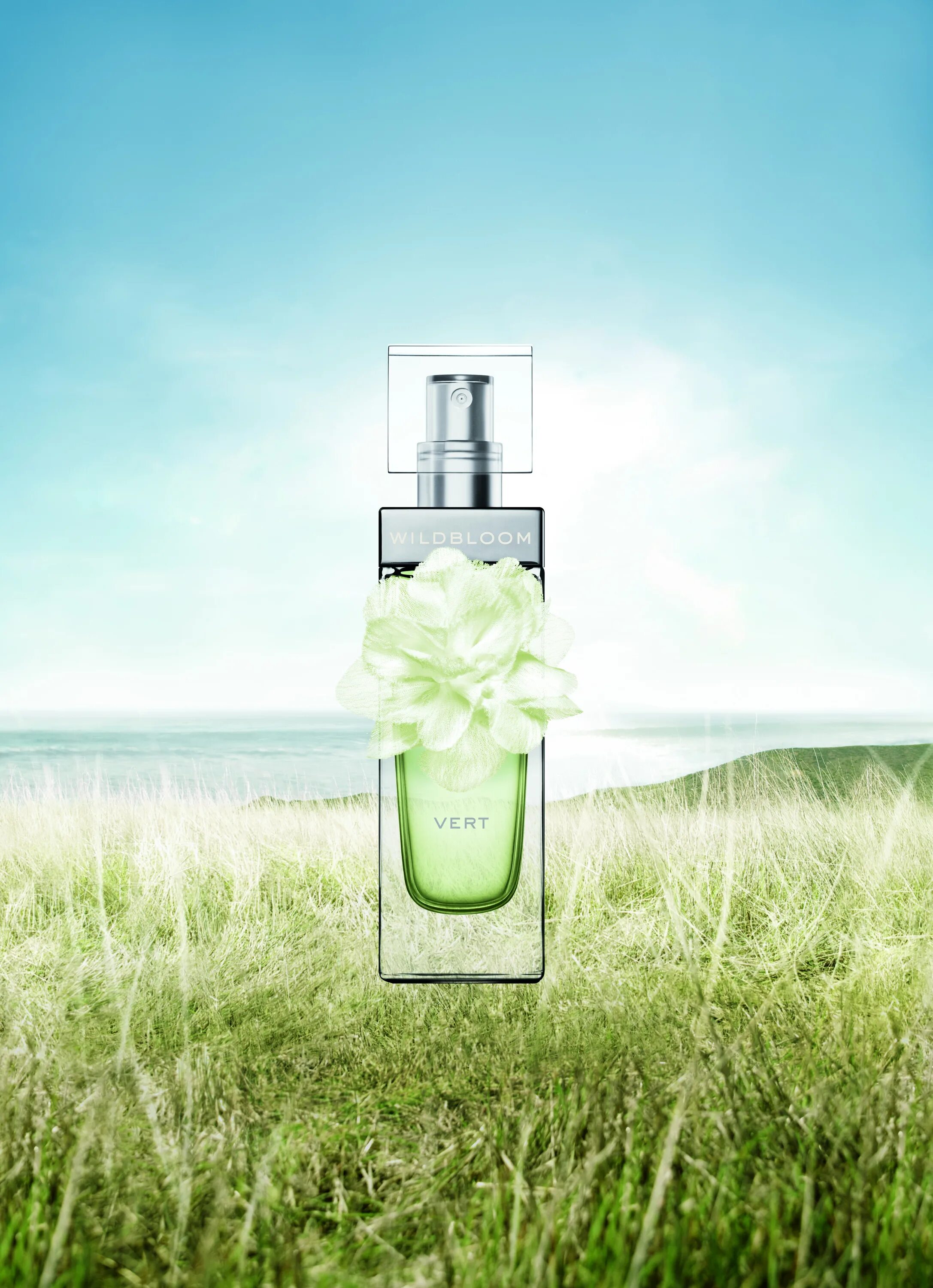 Banana vert. Banana republic wildbloom vert. духи banana republic wildbloom. banana republic vert 100 ml wildbloom 100ml. banana republic wildbloom vert w edp.