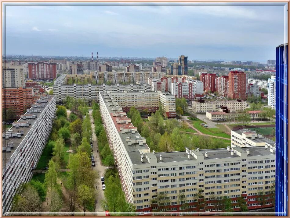 Покраска в приморском районе спб. Приморский район Санкт-Петербурга. Аллея Поликарпова СПБ. Приморский район Питер. Аллея Поликарпова 5 Санкт-Петербург.