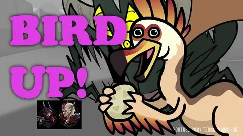 Bird up