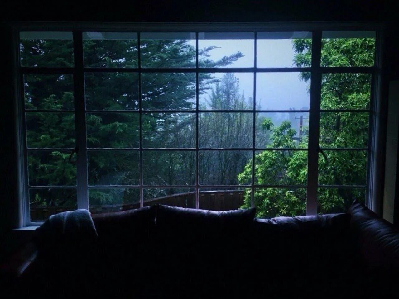 Fiona is next to the window
