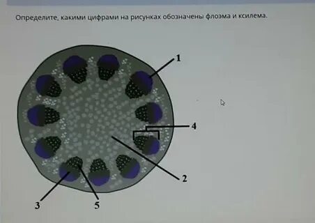 Точечные включения