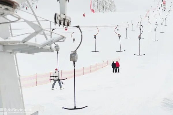 Снежный горнолыжный курорт веб. Ферма троллей Коробицыно. Снежный горнолыжный курорт СПБ. Ферма троллей Коробицыно веревочный парк. Коробицыно снежный.