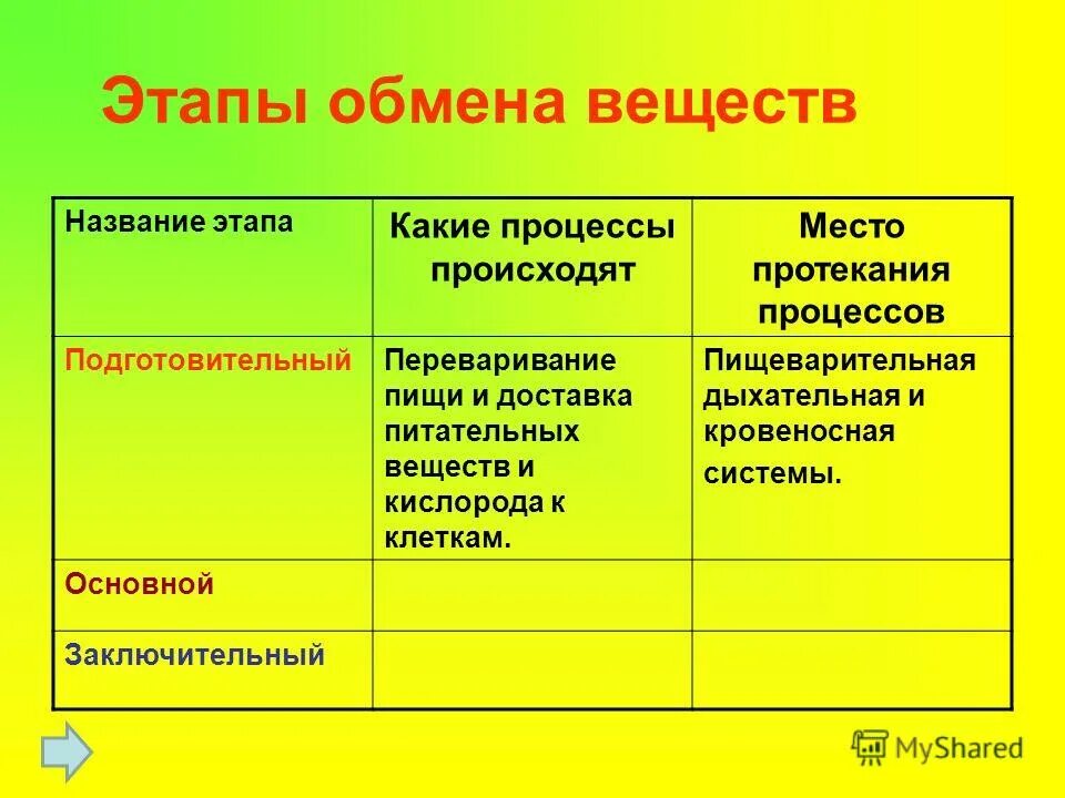 Этапы обмена веществ таблица. Основные этапы обмена веществ. Какие этапы в обмене веществ. Этапы обмена веществ подготовительный основной