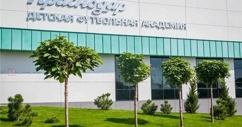 Спортивная школа краснодар улица
