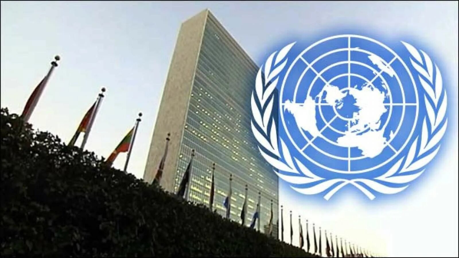 Конвенция против транснациональной. Организация Объединенных наций (ООН). Генеральная Ассамблея ООН 1959. Генеральная Ассамблея ООН флаг. Генеральная Ассамблея ООН 1995.