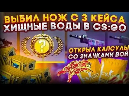 Кейс хищные кс го