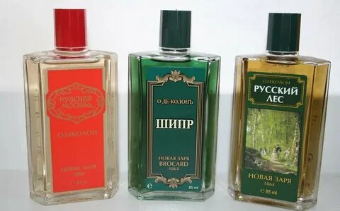 Нова заря