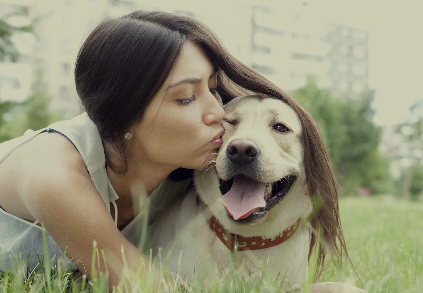 Dog has woman. Девушка любит животных. Любите животных. Человек любящий животных. Собака любит девушку.