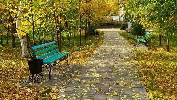 Облетели листья с тополей слушать. Улетели листья с тополей рубцов. Облетели листья с тополей. Николай рубцов улетели листья с тополей стихотворение. Виктор салтыков улетели листья с тополей.