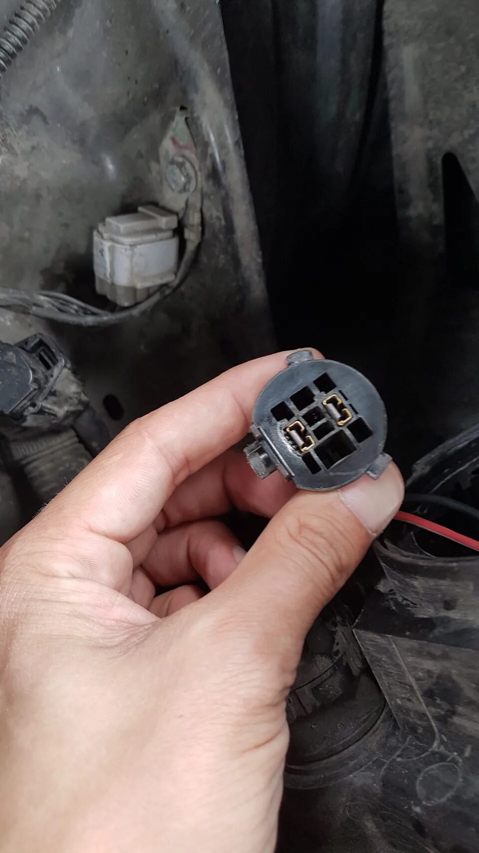 Разъем h7 лампы ближнего света форд фокус 2. Лампы ближнего света ваз 2110 h1. Разъем лампы ближнего света mitsubishi outlander 3. Фишка лампы ближнего. Рено лагуна 1 разъем лампы ближнего.