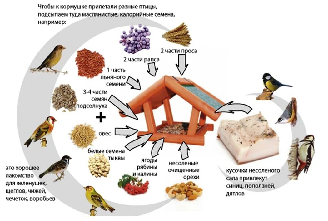 Какую крупу насыпать в кормушку для птиц зимой. Каким кормом кормят птиц. Чем кормить птиц зимой в кормушках. Чем кормить зимующих птиц. Сыпать в кормушку