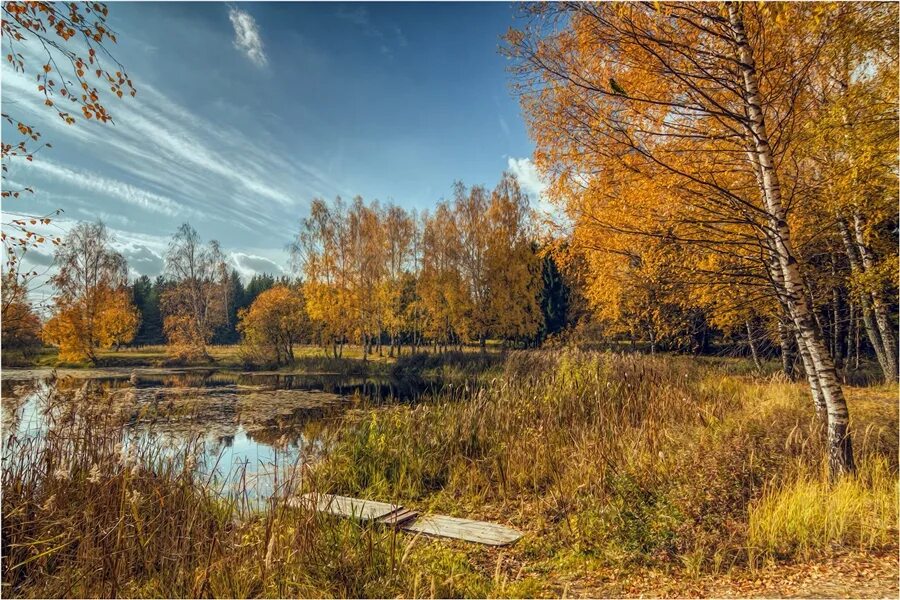 14 времен года в россии. Времена года фото. Природа России времена года. Пейзажи России по временам года. Картинки с временами года.