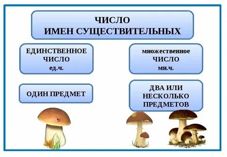Имена существительные времена года