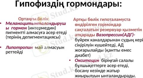 Үйдегі орысша порно видеолар