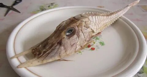 Рыба с ней