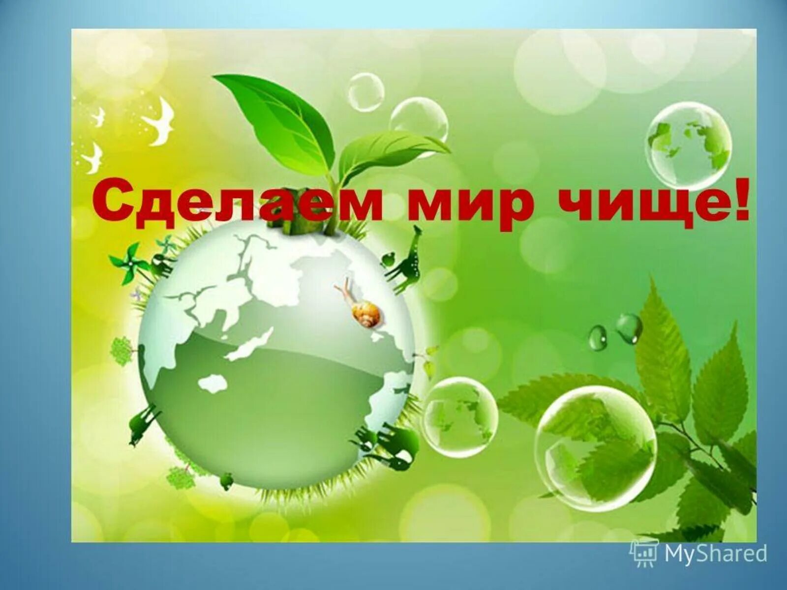 Стать по экологии