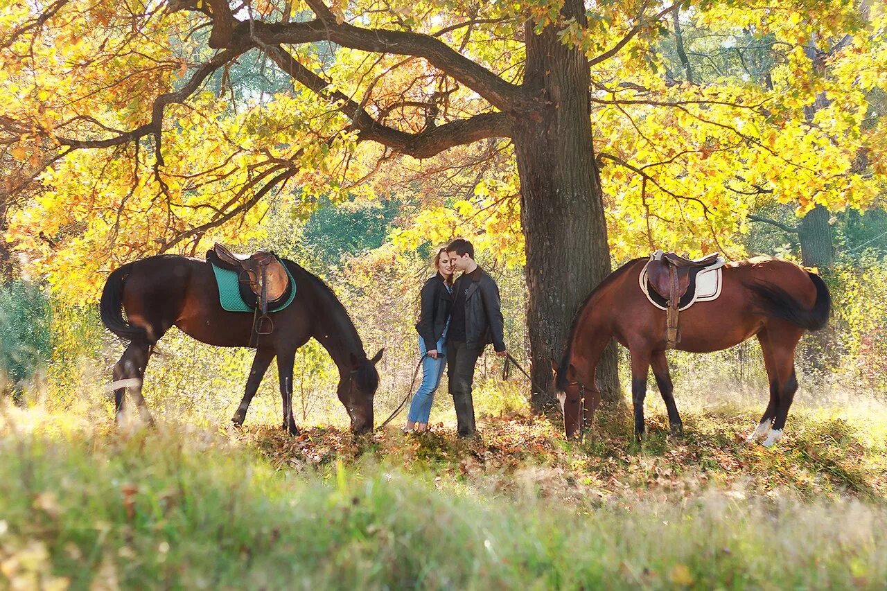 Лошади гуляют. Конная прогулка осенью. Фотосессия с лошадьми. Лесные прогулки на лошадях. Пикник и Конная прогулка.