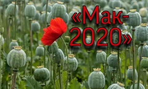 Мак 2020