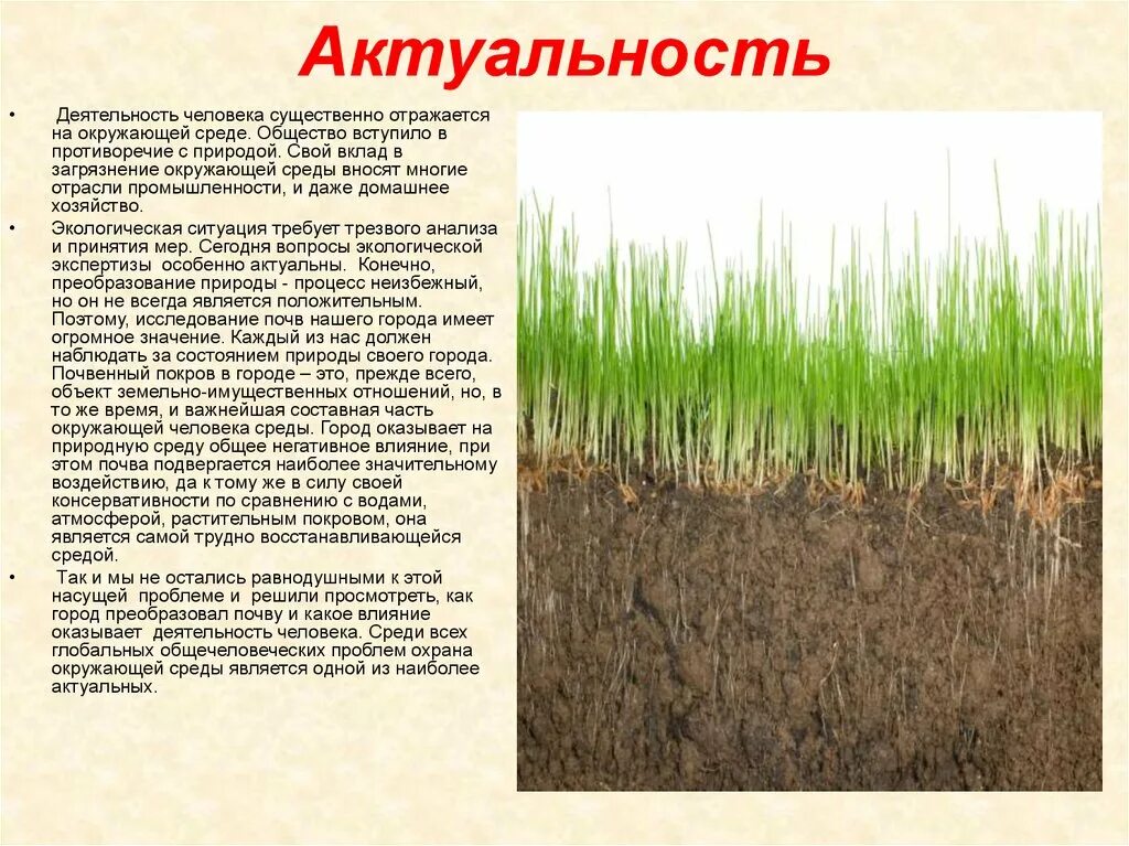 Влияние растительного покрова. Актуальность почвы. Влияние деятельности человека на почву. Актуальность изучения почвы. Актуальность проекта почва.