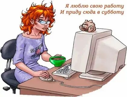 Вайбедо